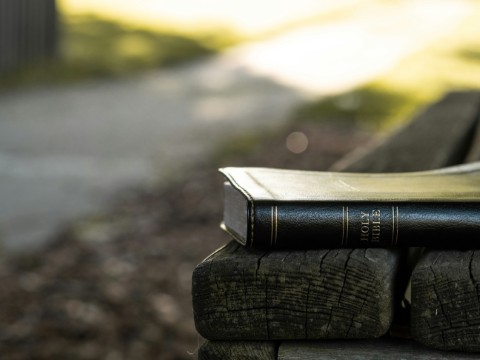 How to Read Poetry in the Bible