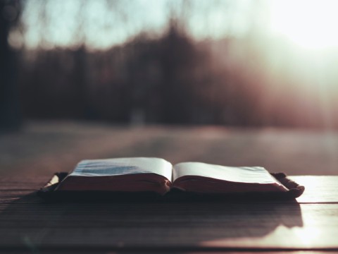 Evil Companions Corrupt Good Morals