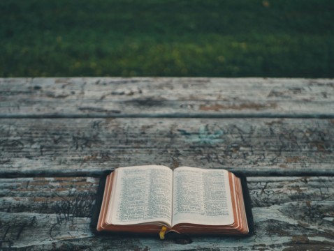 Understanding the Patience of God