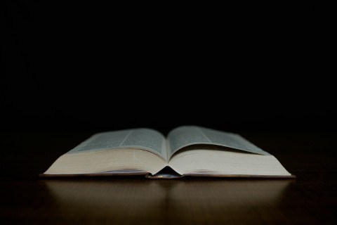 How To Deal With Disagreements About the Scriptures Among Brethren