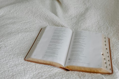 Summary of the Bible: The Basic Story