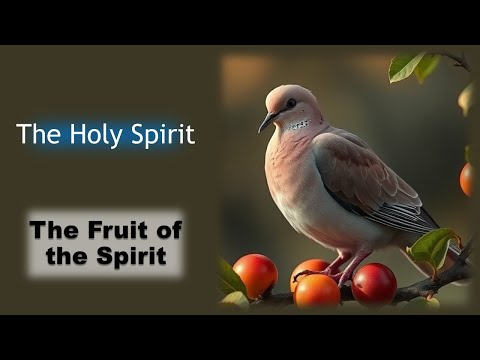 Fruit of the Spirit: Overview