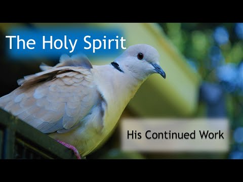 The Holy Spirit: His Continued Work