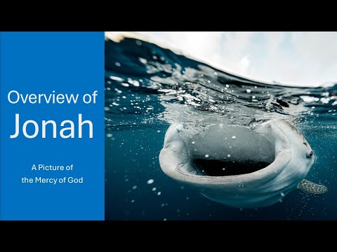 Overview of Jonah
