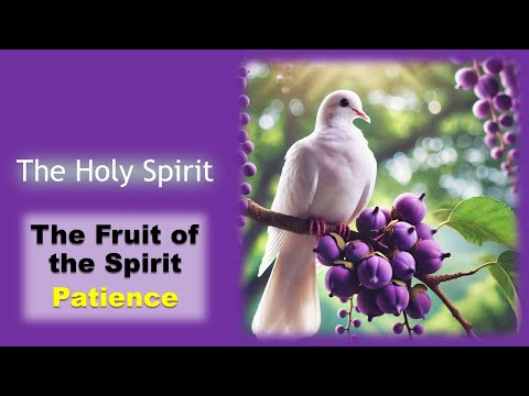 Fruit of the Spirit: Patience