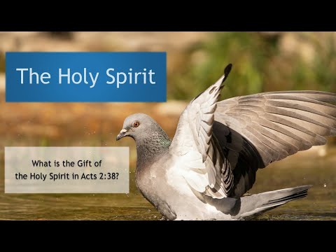What is the Gift of the Holy Spirit in Acts 2:38?